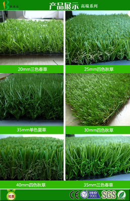 工廠直售 人造草坪產(chǎn)品 人造草坪輔料 人造草坪面層 學(xué)校假草坪 一件代發(fā)