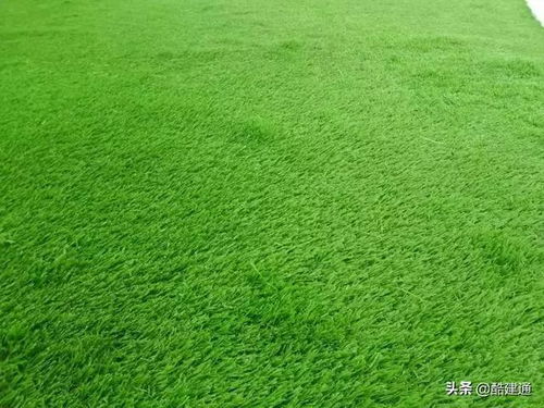 7 人制人造草坪足球場(chǎng)尺寸和價(jià)格,以及人造草坪足球場(chǎng)施工工藝