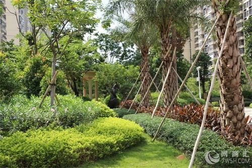 綠化苗木工程圖