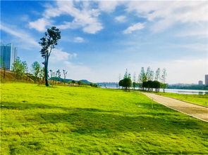 繽紛水岸濕地公園建成在即 八月底全線開園