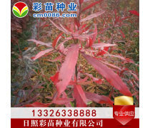 產(chǎn)品庫