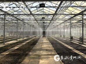 多彩貴州網(wǎng) 銅仁頻道