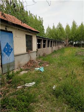 1元 2800平米 小加工廠養(yǎng)殖場(chǎng)苗圃倉(cāng)庫(kù)出租