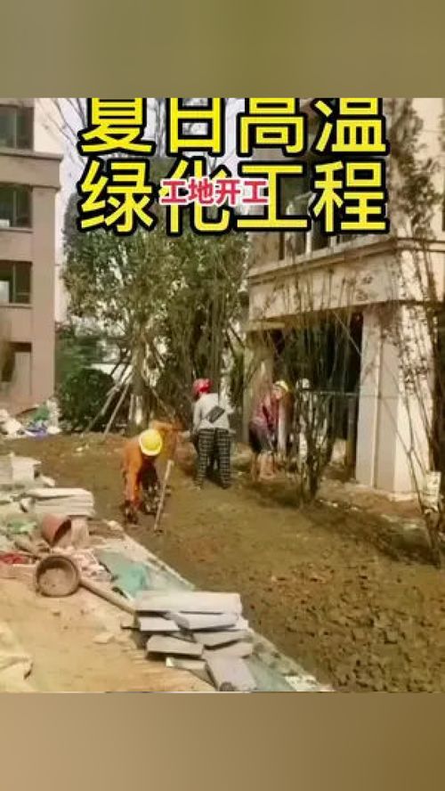 綠化工程 園林綠化 施工現(xiàn)場實(shí)拍 精品苗木 園林綠化工程苗木人