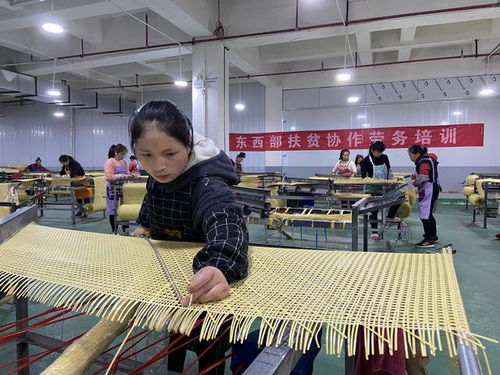 佛山 黔東南攜手推進(jìn)東西部協(xié)作工作